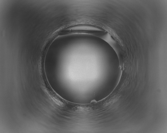 X0000073990442200608281318