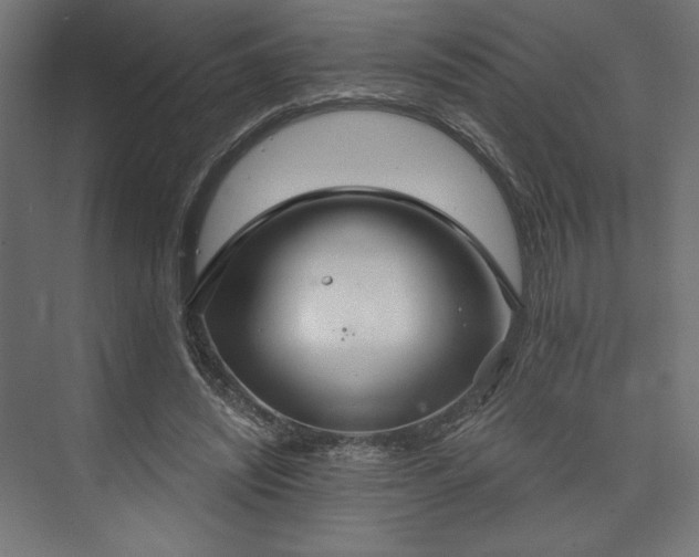 X0000073990444200608281318