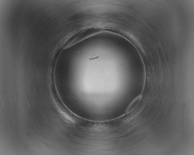 X0000073990445200608281318