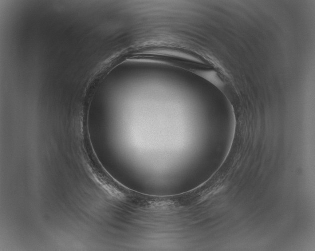 X0000073990446200608281318