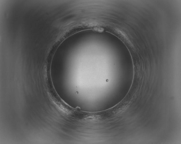 X0000073990447200608281318