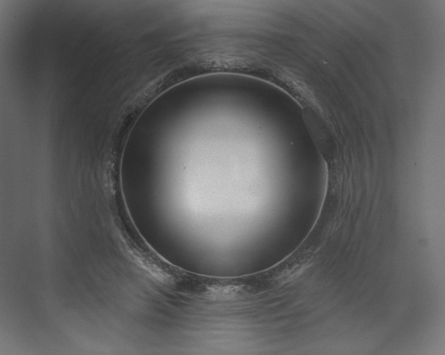 X0000073990450200608281318