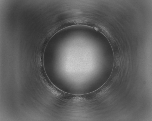 X0000073990453200608281318