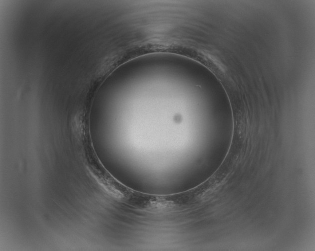 X0000073990455200608281318