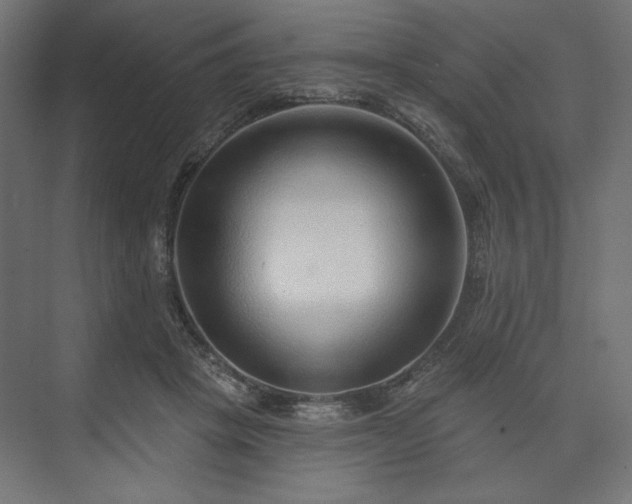 X0000073990457200608281318