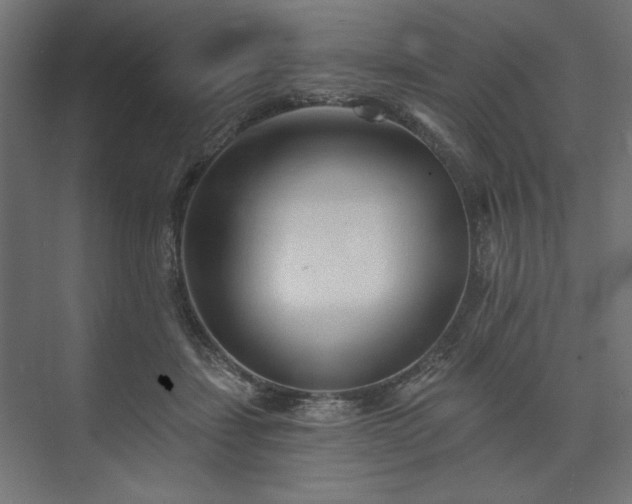 X0000073990459200608281318