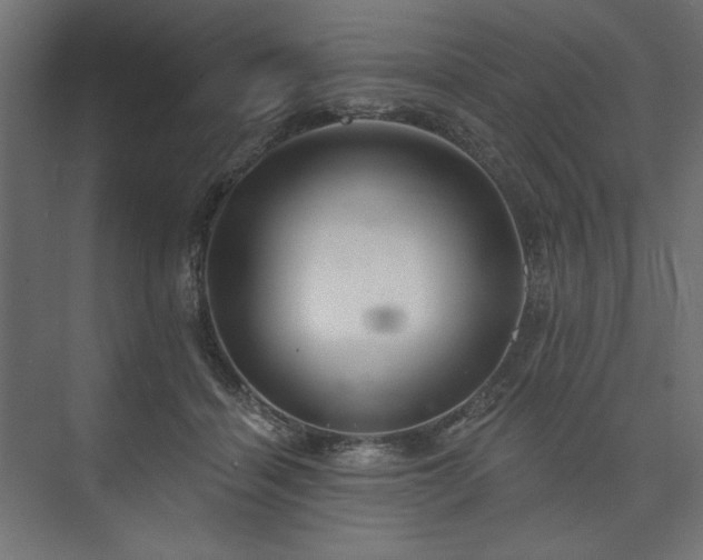 X0000073990460200608281318