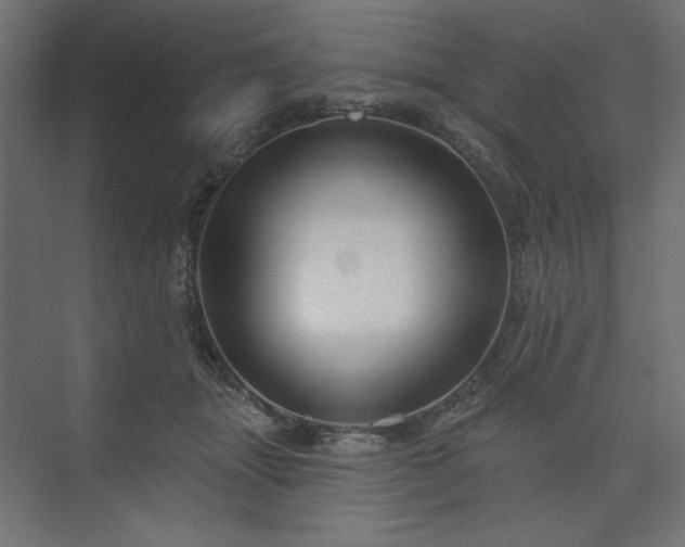 X0000073990463200608281318