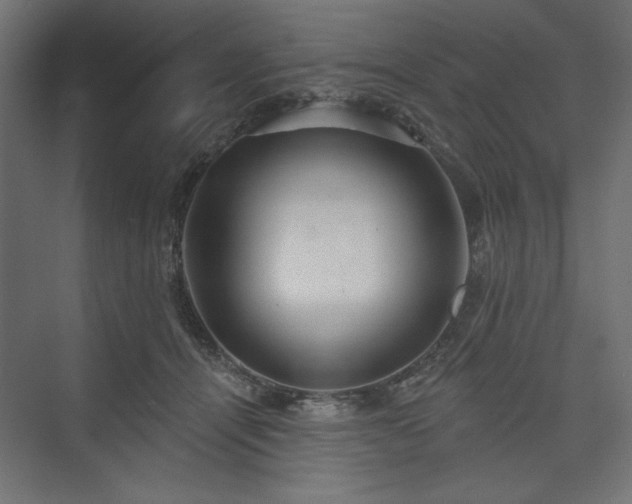 X0000073990464200608281318