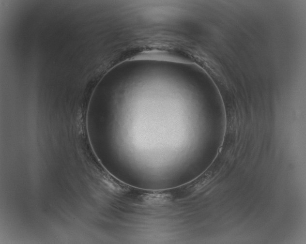 X0000073990465200608281318