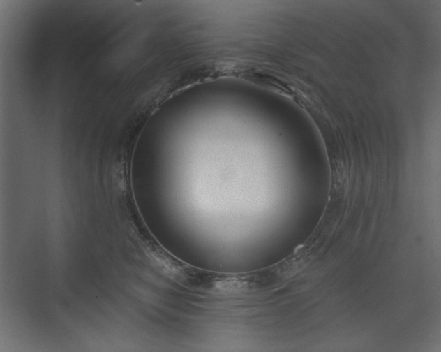 X0000073990470200608281318