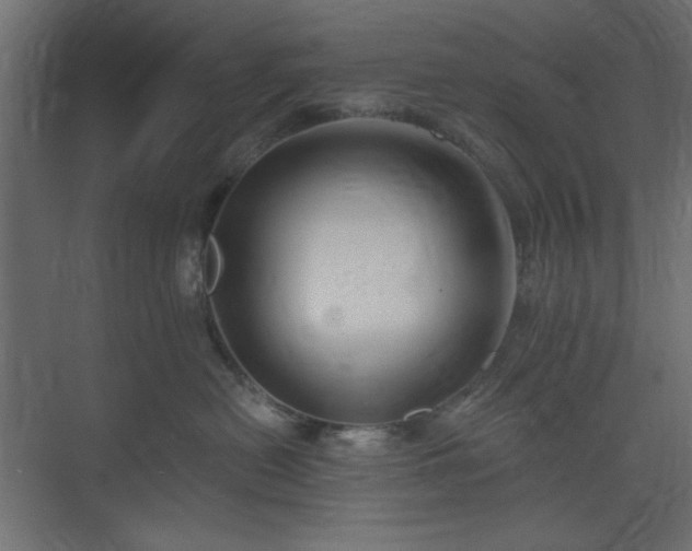 X0000073990478200608281319