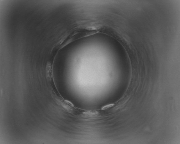 X0000073990480200608281319