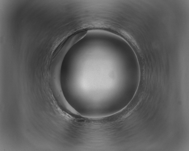 X0000073990481200608281318