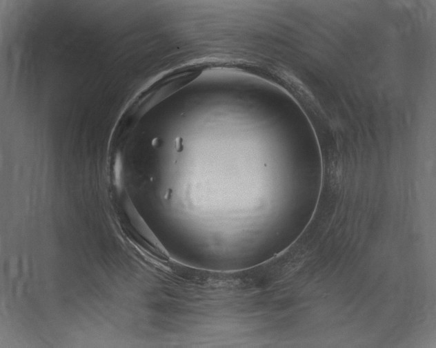 X0000073990484200608281318