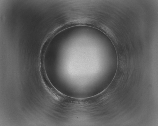 X0000073990486200608281318