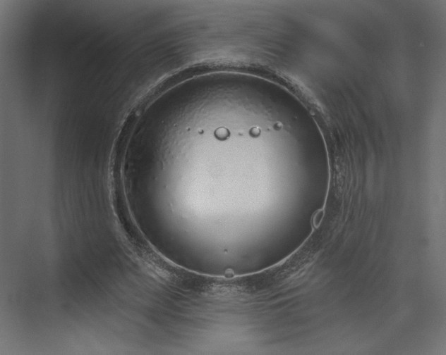 X0000073990487200608281318