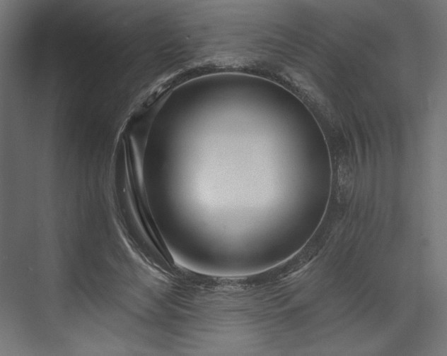 X0000073990492200608281318