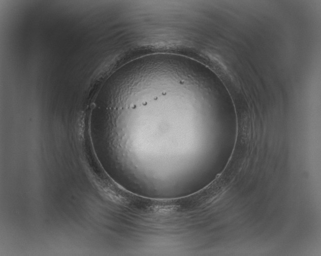 X0000073990495200608281318