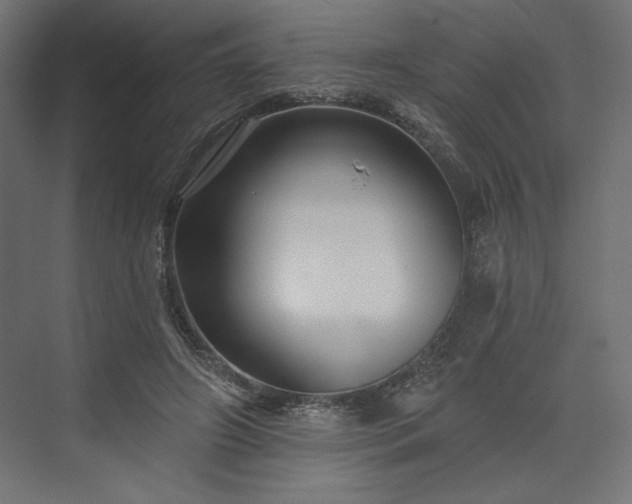 X0000073990498200608281317