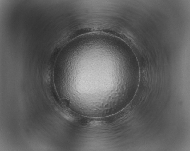 X0000073990499200608281317