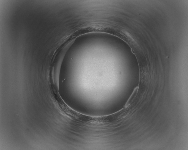 X0000073990500200608281317