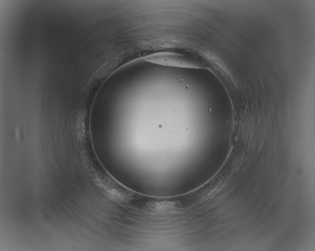 X0000073990501200608281317