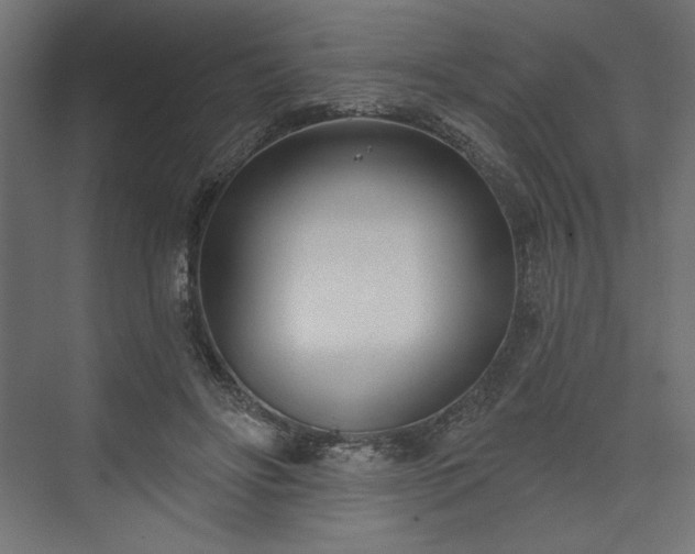 X0000073990502200608281317