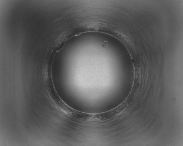 X0000073990504200608281317