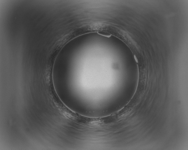 X0000073990505200608281317