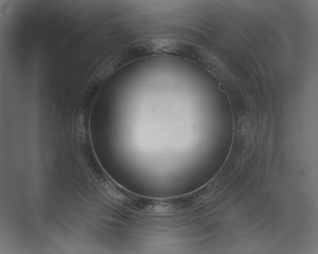 X0000073990506200608281317