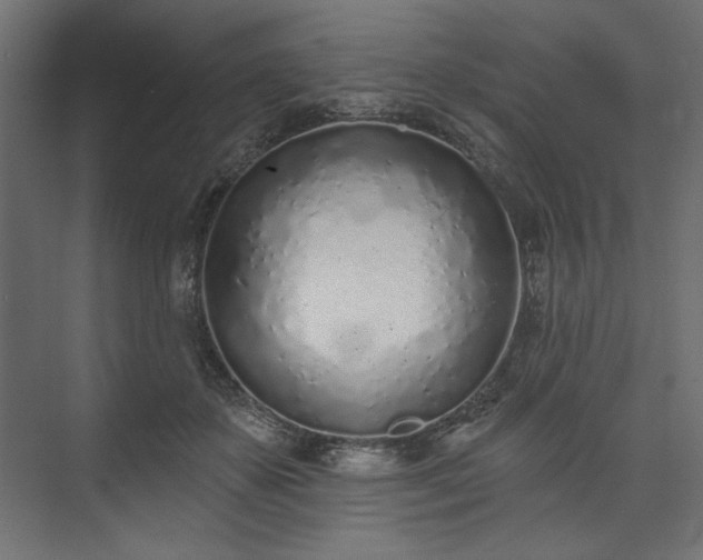 X0000073990507200608281317