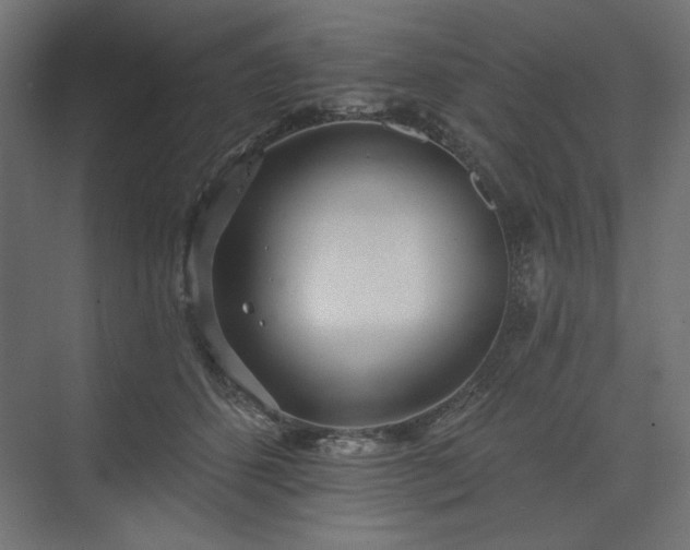 X0000073990512200608281317