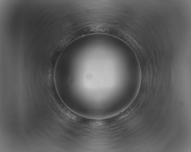 X0000073990513200608281317