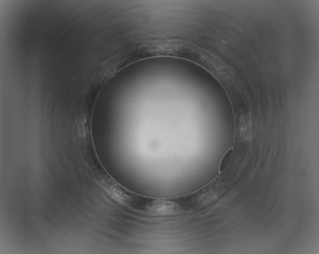 X0000073990514200608281317