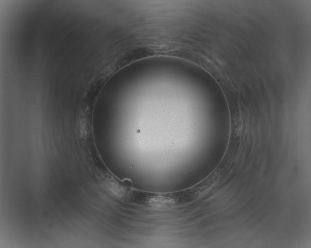 X0000073990515200608281317