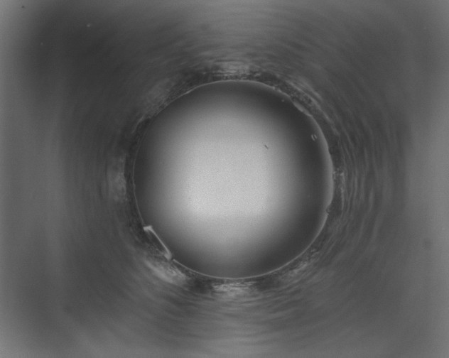 X0000073990516200608281317