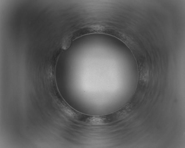 X0000073990518200608281317