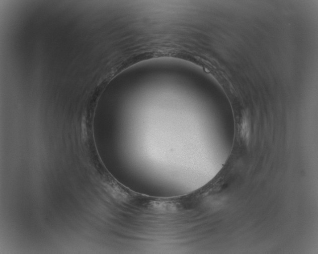 X0000073990520200608281317