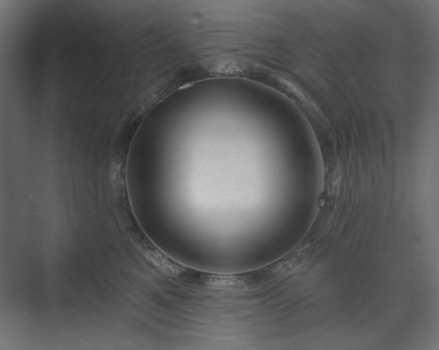 X0000073990521200608281317