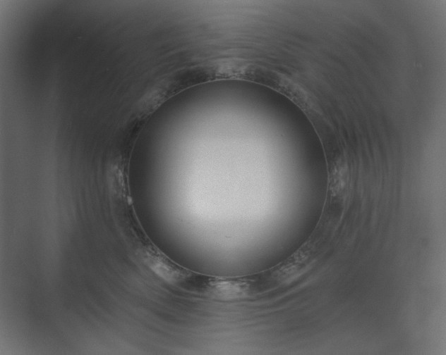 X0000073990522200608281317