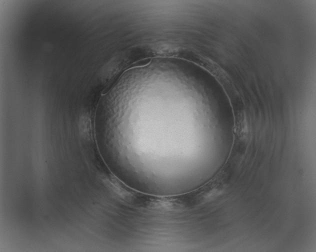 X0000073990523200608281317