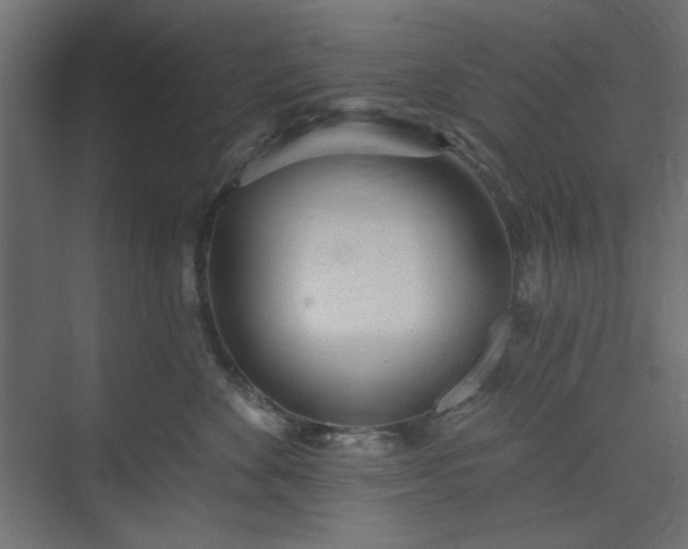 X0000073990524200608281317