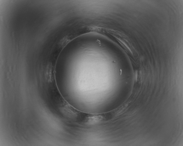 X0000073990525200608281317