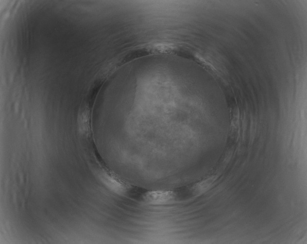 X0000073990526200608281317