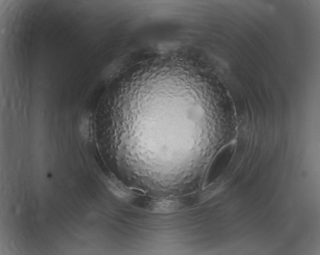 X0000073990527200608281317