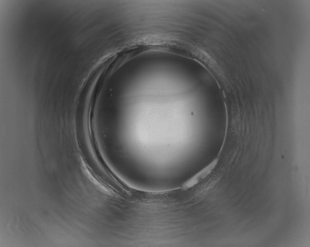 X0000073990530200608281316