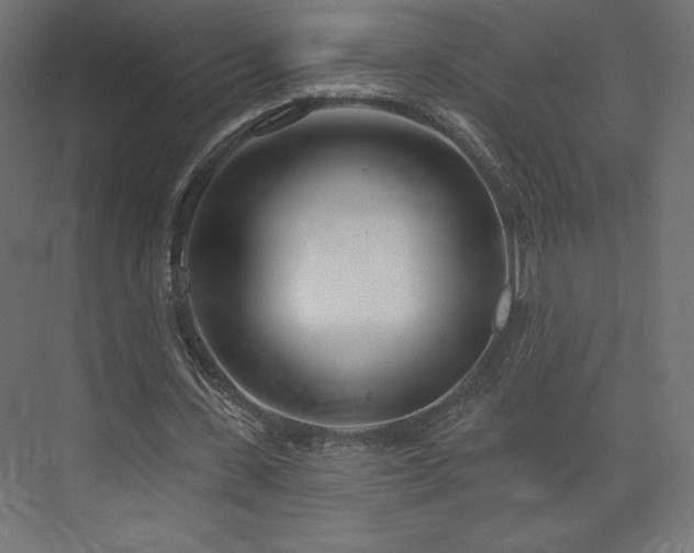 X0000073990531200608281316