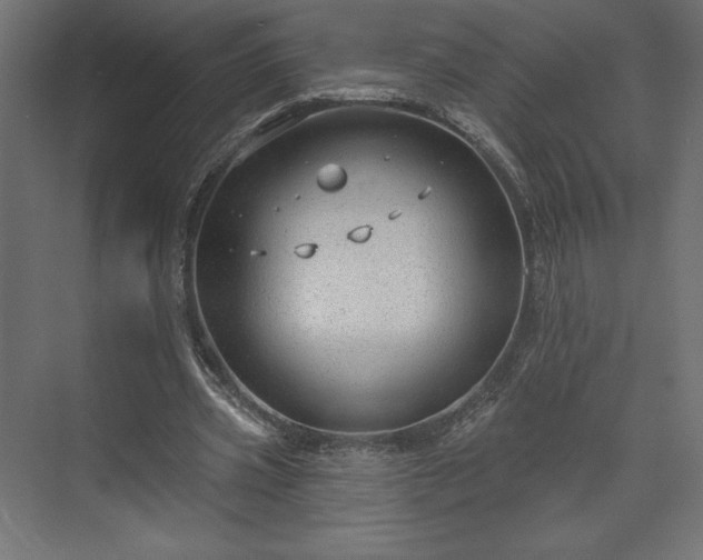 X0000073990533200608281316