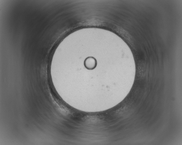 X0000073990534200608281316